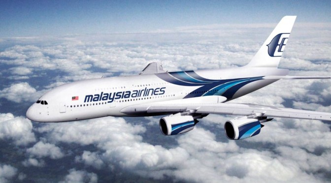 Vietnamese response to Malaysia Airlines flight disappearance