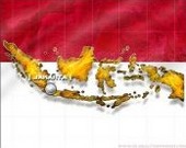 Indonesia: Constitutional court may decide results of election