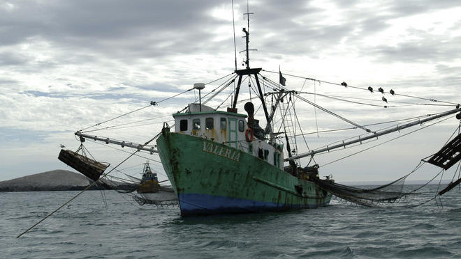 Indonesia vows to sink illegal fishing ships
