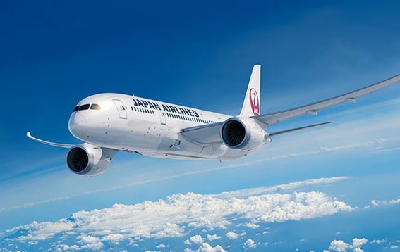 Japan Airlines: Cyberattack Disrupts Flights