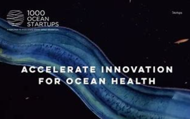 New APAC Coalition to Boost Ocean Start-Ups