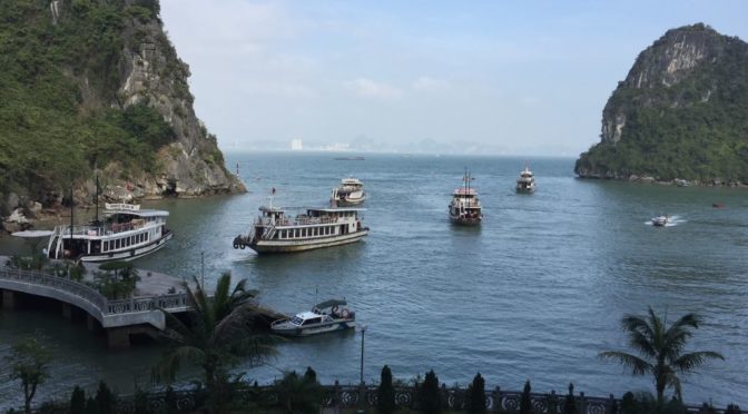 Vietnam Emerges as Southeast Asia’s Brightest Star