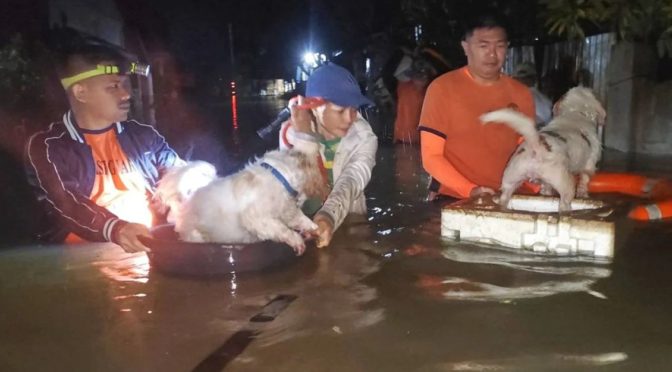 Second Storm in a Week Batters the Philippines